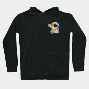 Rainbow Ibex Hoodie